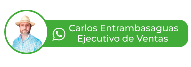 Carlos Entrambasaguas